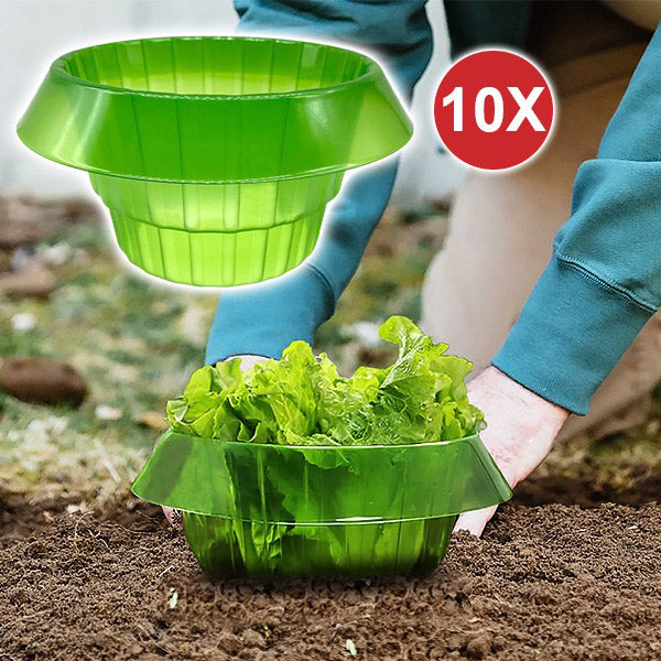 GreenGuard Rings (10 stuks) – Milieuvriendelijke groente tuin bescherming tegen ongedierte en slakken