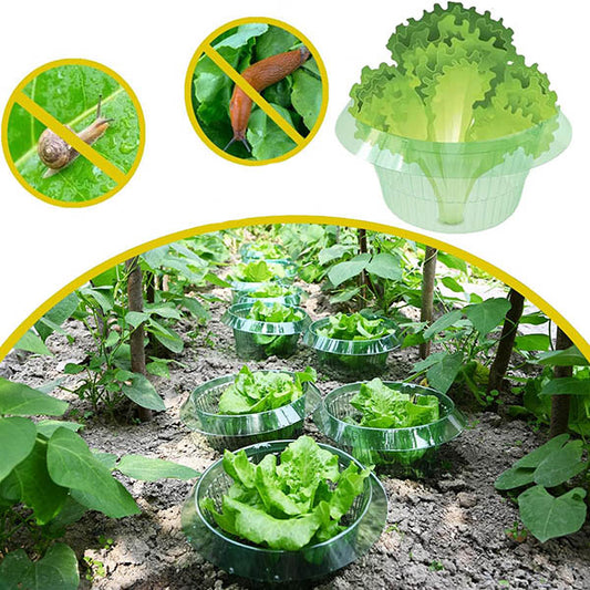 GreenGuard Rings (10 stuks) – Milieuvriendelijke groente tuin bescherming tegen ongedierte en slakken